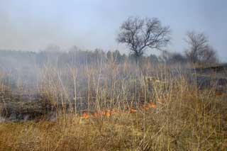 Протягом доби в області сталося шість пожеж на відкритій території