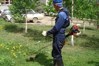 Гребінківський міський голова звертається з проханням забезпечити своєчасне скошування трави