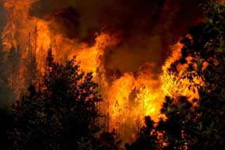 На Полтавщині оголосили надзвичайну пожежну небезпеку