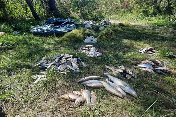 Два браконьєри на Полтавщині завдали державі збитків на суму понад 790 тисячі гривень