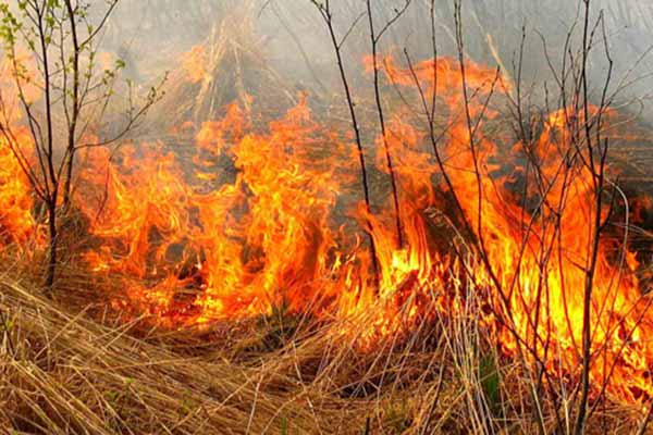 За добу на території Полтавщини зареєстровано 5 пожеж