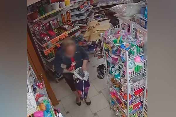 На Полтавщині судитимуть жінку за вчинення серії крадіжок з крамниці та грабіж