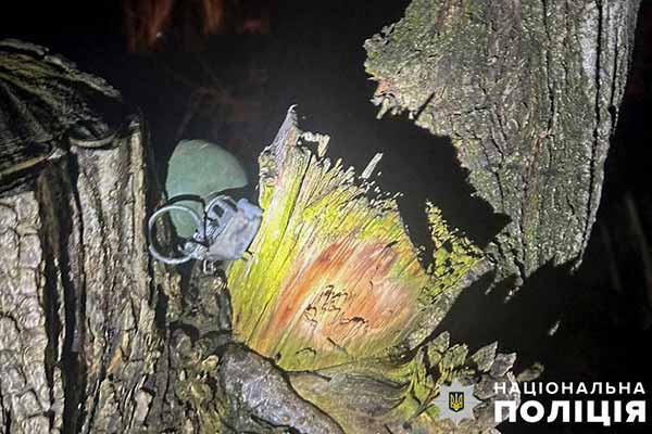 На Полтавщині знайшли боєприпас на дереві в лісосмузі