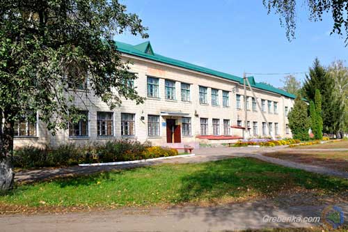 На Гребінківщині функціонує 18 загальноосвітніх навчальних закладів, з них 14 - І-ІІІ ст.