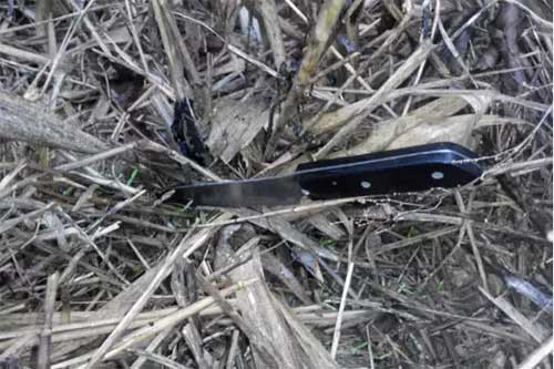 На Полтавщині жінка поранила ножем свого давнього знайомого