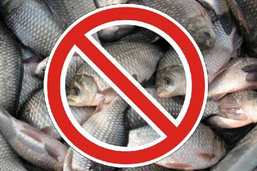 На Гребінківщині стартувала нерестова заборона на вилов риби
