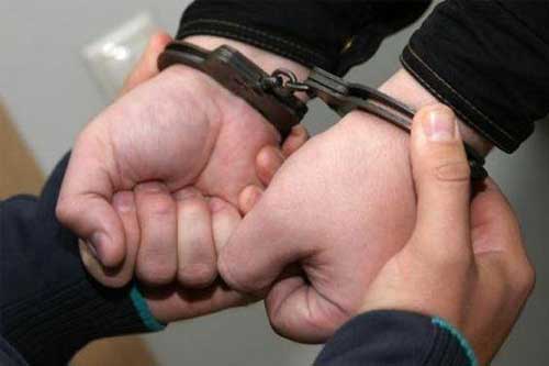 Затримано підозрюваних у цинічних злочинах, вчинених у Пирятинському районі