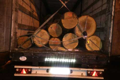 На Полтавщині затримали авто черкасця, який перевозив деревину дуба без документів