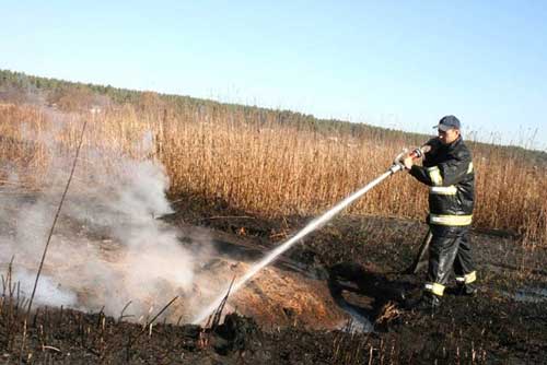На Пирятинщині рятувальники ліквідували торф’яну пожежу