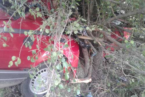 На Пирятинщині «Альфа Ромео» зіткнулася з деревом