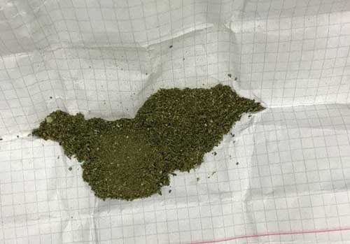 На Гребінківщині поліція вилучила з незаконного обігу близько 200 грамів наркотичних засобів