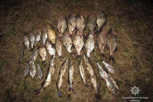 В Оржиці поліцейські задокументували факт незаконного вилову риби