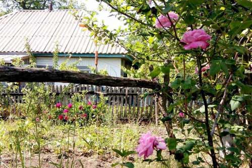 На Полтавщині 36-річний селянин загинув від випарів каналізації на власному подвір'ї