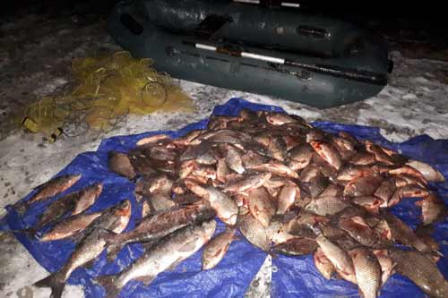 Полтавський рибоохоронний патруль вилучив 121 кг незаконно добутої риби за день роботи