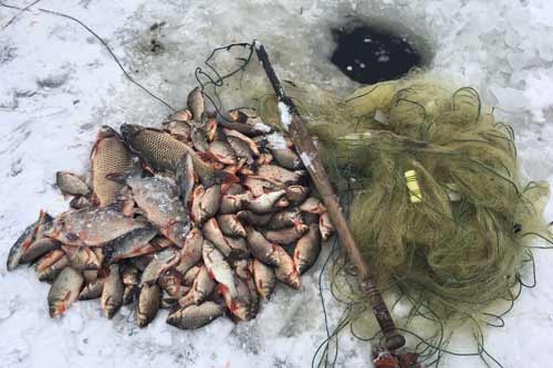 Браконьєри Полтавщини за січень завдали збитків рибному господарству майже на 60 тис. грн