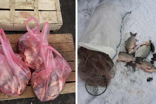 Інспектори Полтавського рибпатруля за два тижні зафіксували 202 порушення зі збитками майже на 14 тис. грн