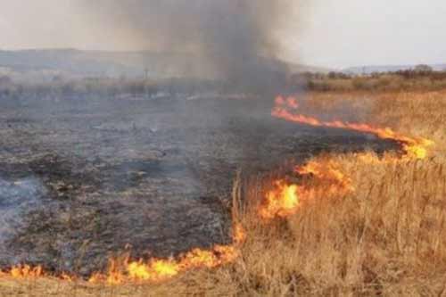 На Гребінківщині ліквідували пожежу на відкритій території
