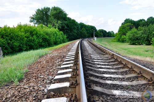 На Полтавщині швидкісний пасажирський потяг смертельно травмував невідомого чоловіка