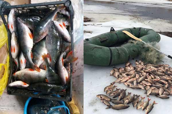 З початку року браконьєри завдали збитків більше, ніж на мільйон гривень, - Полтавський рибпатруль