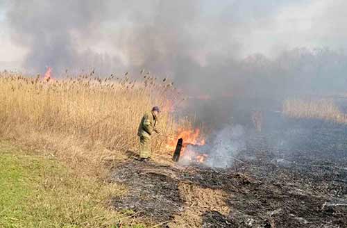 За минулу добу, на Полтавщині вогнеборці ліквідували 25 пожеж на відкритій території