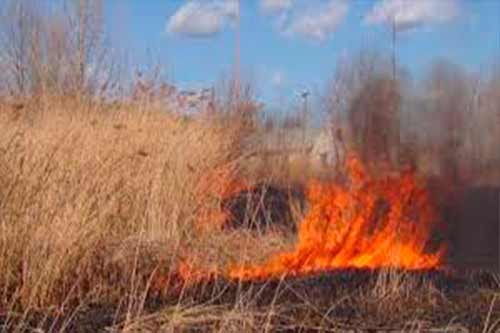 Пожежа на Гребінківщині: вогонь знищив близько 200 м² сухої рослинності
