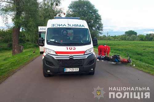 На Лубенщині через собаку, який вибіг на дорогу, загинув 59-річний водій мопеда