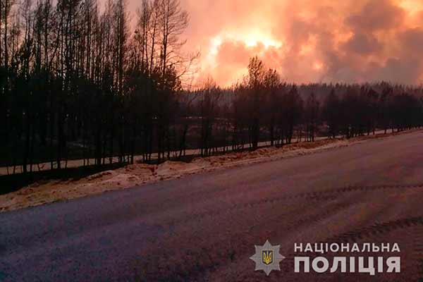 Поліцейські з Полтавщини допомагають в евакуації людей із зони масштабної пожежі на Луганщині