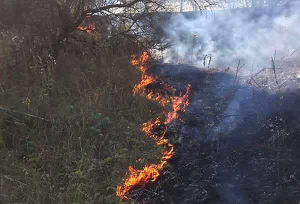 За минулу добу вогнеборці ліквідували 15 пожеж на відкритій території
