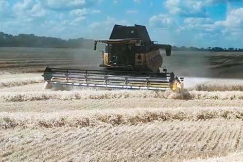 Аграрії Полтавщини завершили збирання ранніх зернових культур