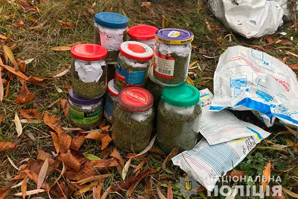 На Полтавщині знищили наркотиків на близько 1,5 мільйона гривень
