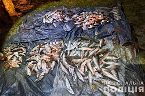 На Полтавщині вилучили незаконно виловленої риби на понад 350 тисяч гривень