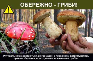 Обережно — гриби!