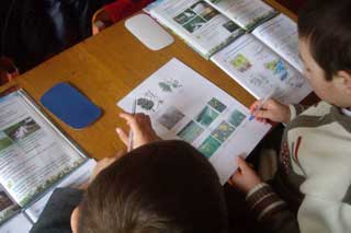 Гребінківська ЗОШ №2: Відкритий урок з природознавства у 1 класі