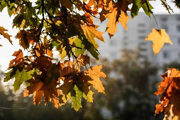 Прогноз погоди на вихідні 1–2 жовтня: тепло повернеться, але ненадовго