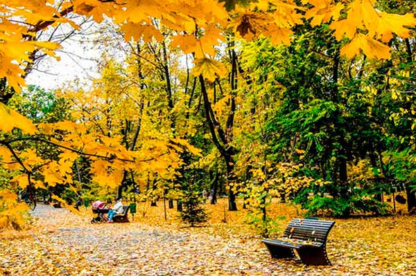 Прогноз погоди на вихідні 15–16 жовтня: золота осінь дарує чудовий вікенд