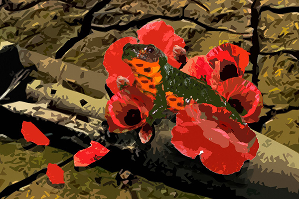 Картина художника Романа Гринкевича Картина художника Романа Гринкевича