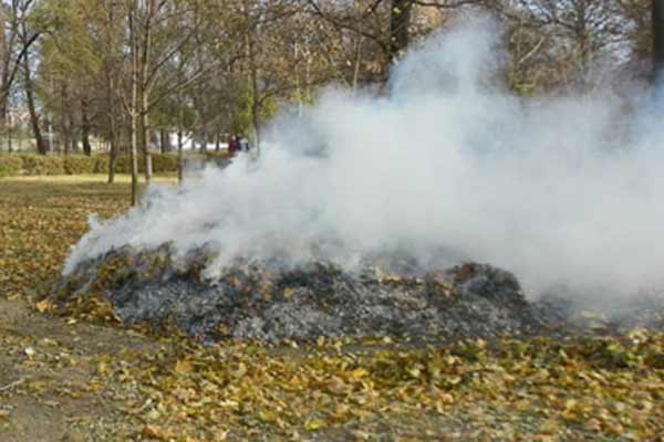 Про відповідальність щодо спалювання опалого листя