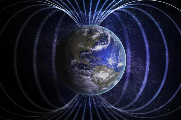 Кто же может чувствовать слабые магнитные сигналы Земли?