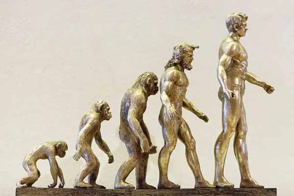 Вчені засумнівалися в теорії Дарвіна: предок людини - не мавпа