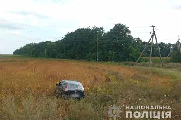 На Полтавщині п'яний водій з'їхав у кювет: є травмовані