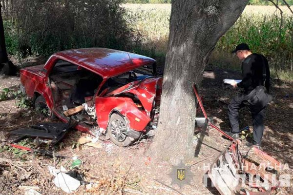 На Полтавщині авто злетіло в кювет і зіткнулося з деревом