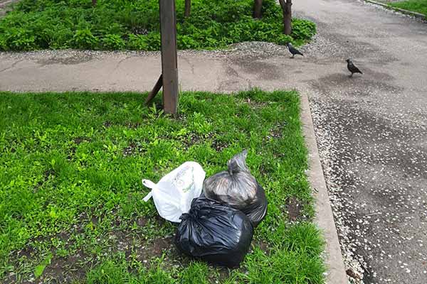 У Гребінці жінку оштрафували за залишене на вулиці сміття
