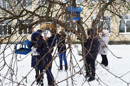 На Гребінківщині діти долучились до опіки за птахами в зимовий період