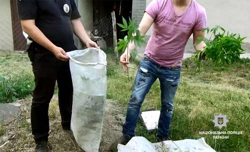 На Полтавщині поліцейські вилучають у громадян наркотики