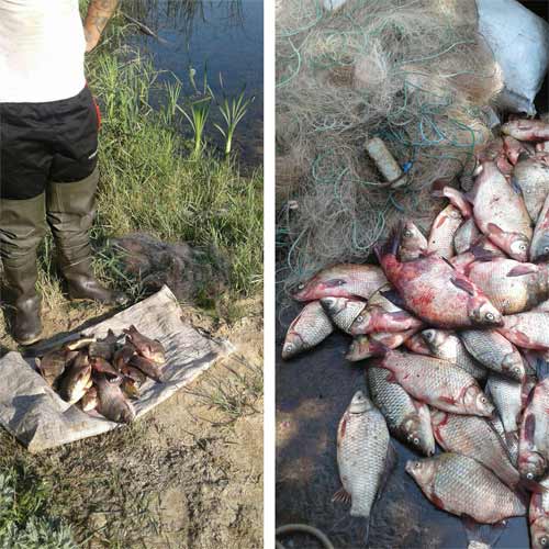 Полтавський рибоохоронний патруль викрив 30 порушень