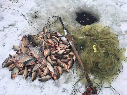 Браконьєри Полтавщини завдали збитків рибному господарству