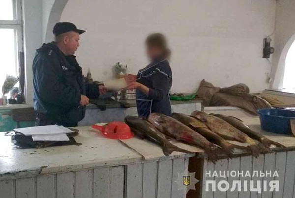 Карлівщина, незаконна торгівля рибо