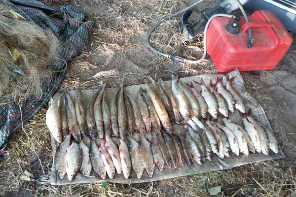 За липень інспектори Полтавського рибпатруля викрили 270 порушень