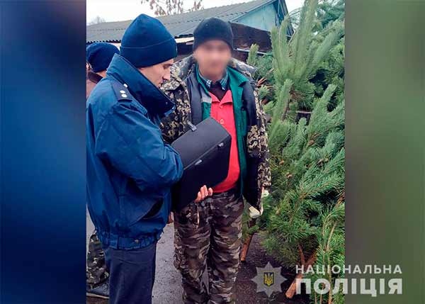 На Полтавщині поліція вилучила ялинок на суму понад 40 тисяч гривень