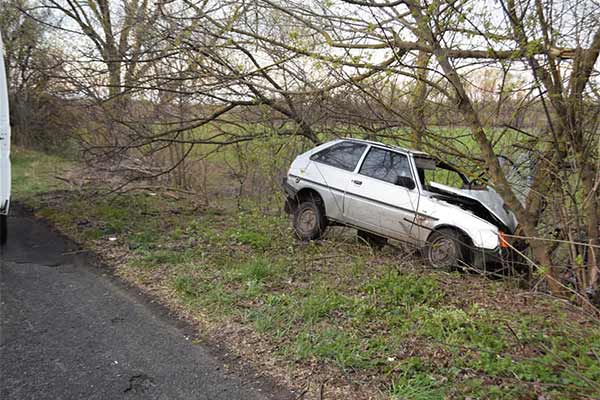 На Лубенщині внаслідок ДТП автівка врізалася у дерево